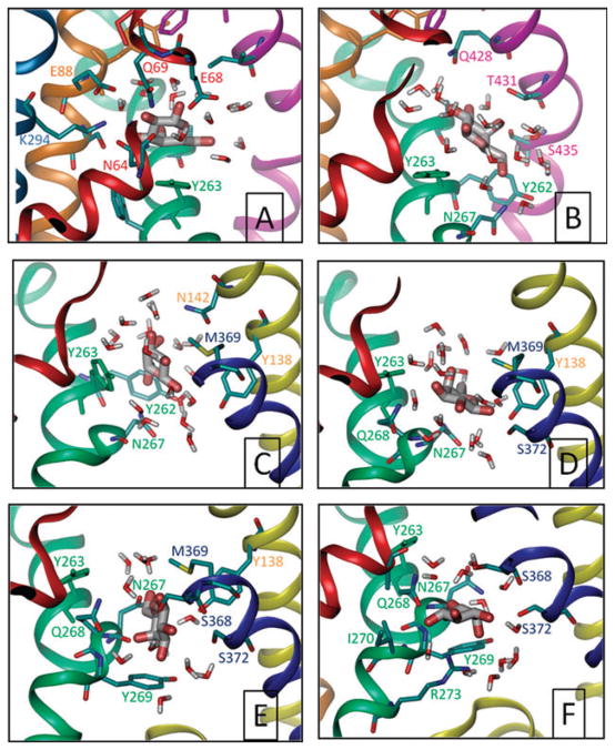 Fig. 6