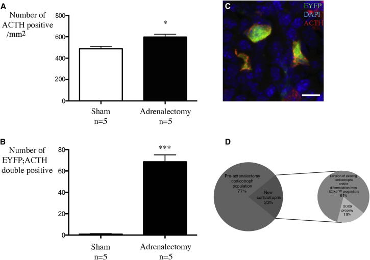 Figure 6