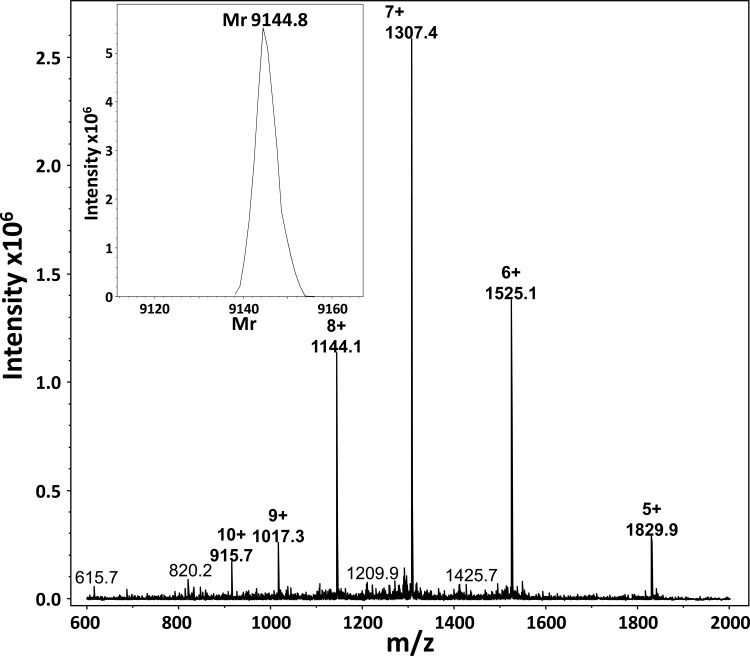 FIG 1