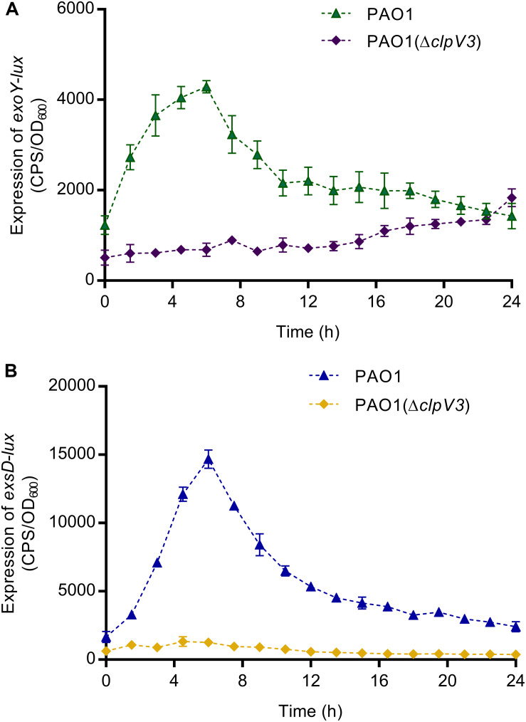 FIGURE 3