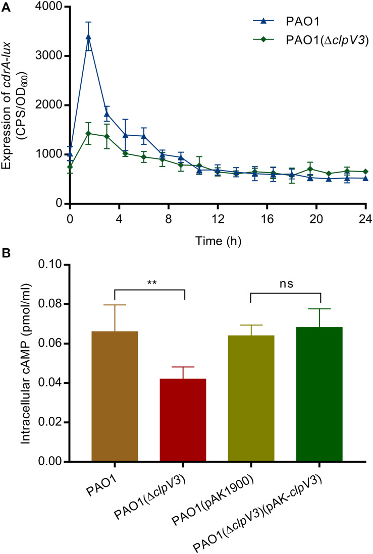 FIGURE 4