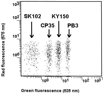 FIG. 1