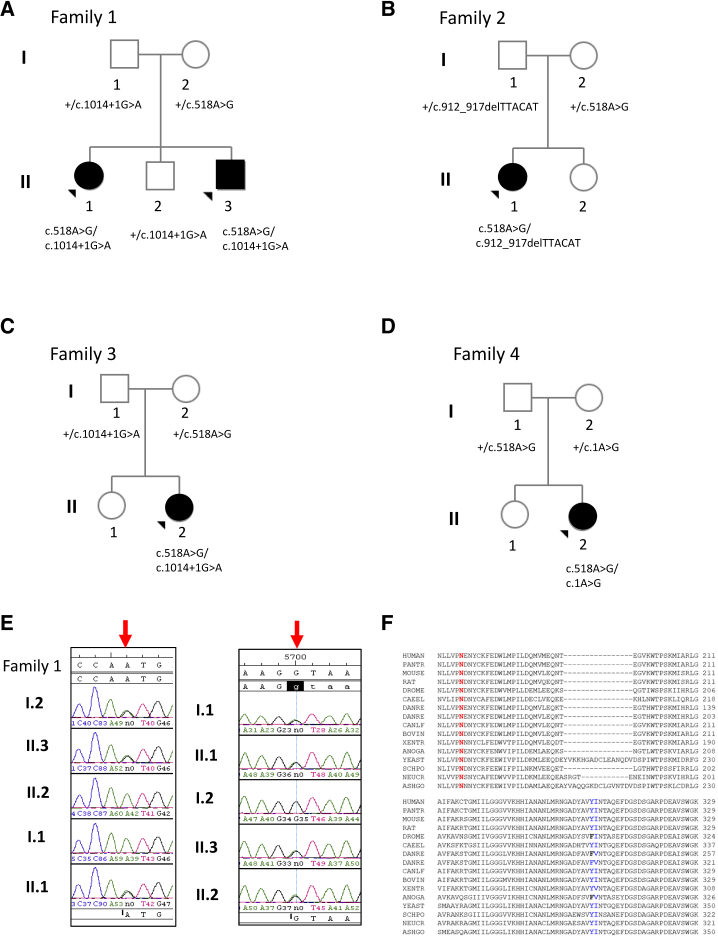 Figure 1