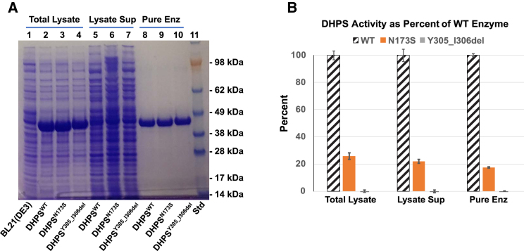 Figure 3