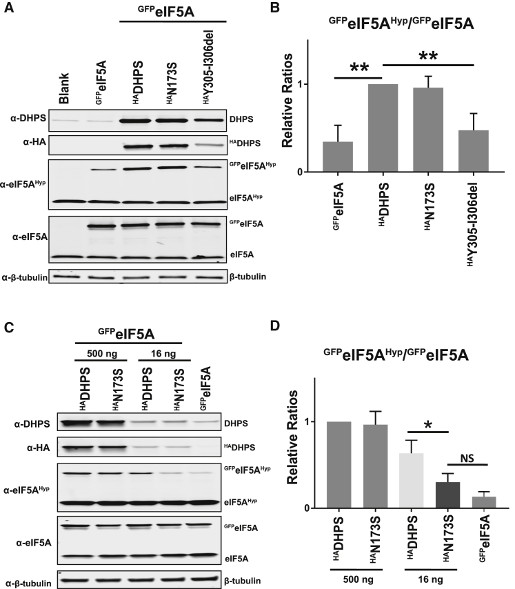 Figure 4