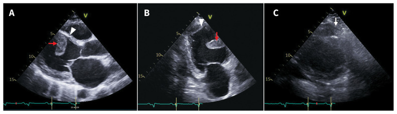 Figure 2: