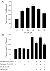 Fig. 4