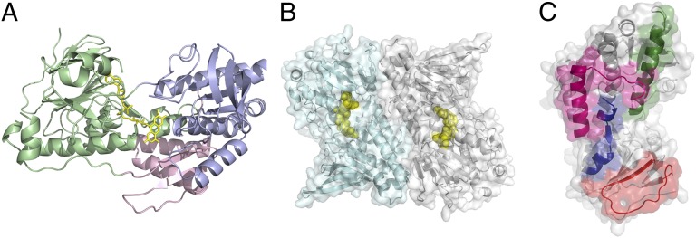 Fig. 1.