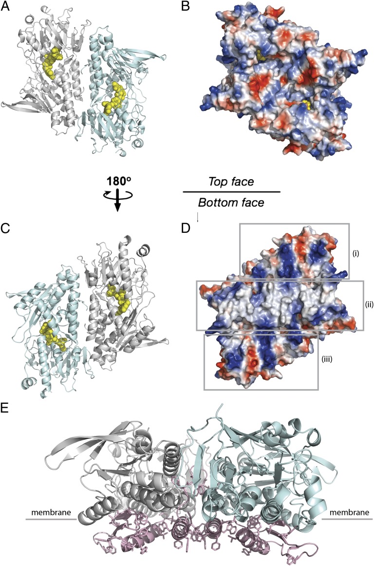 Fig. 2.