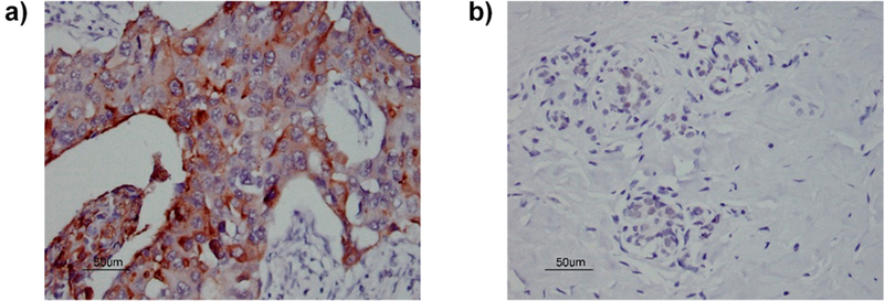 Figure 11.