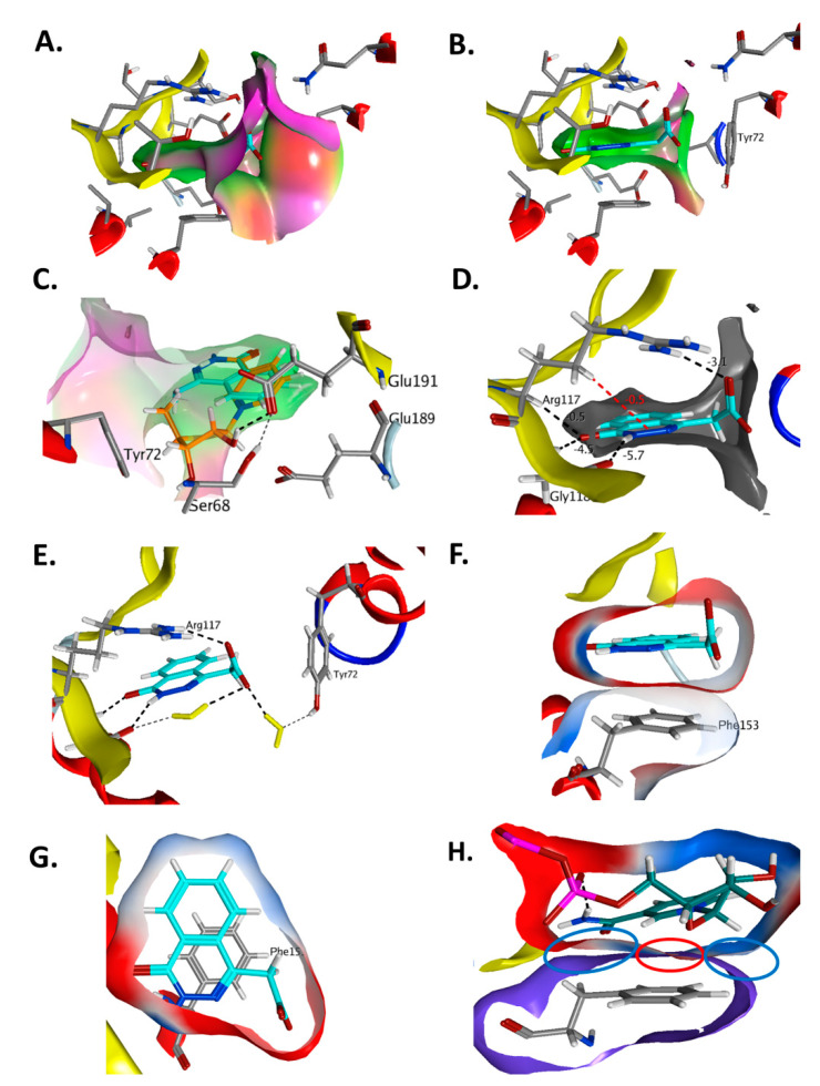 Figure 10