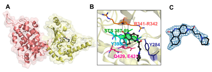 Figure 15