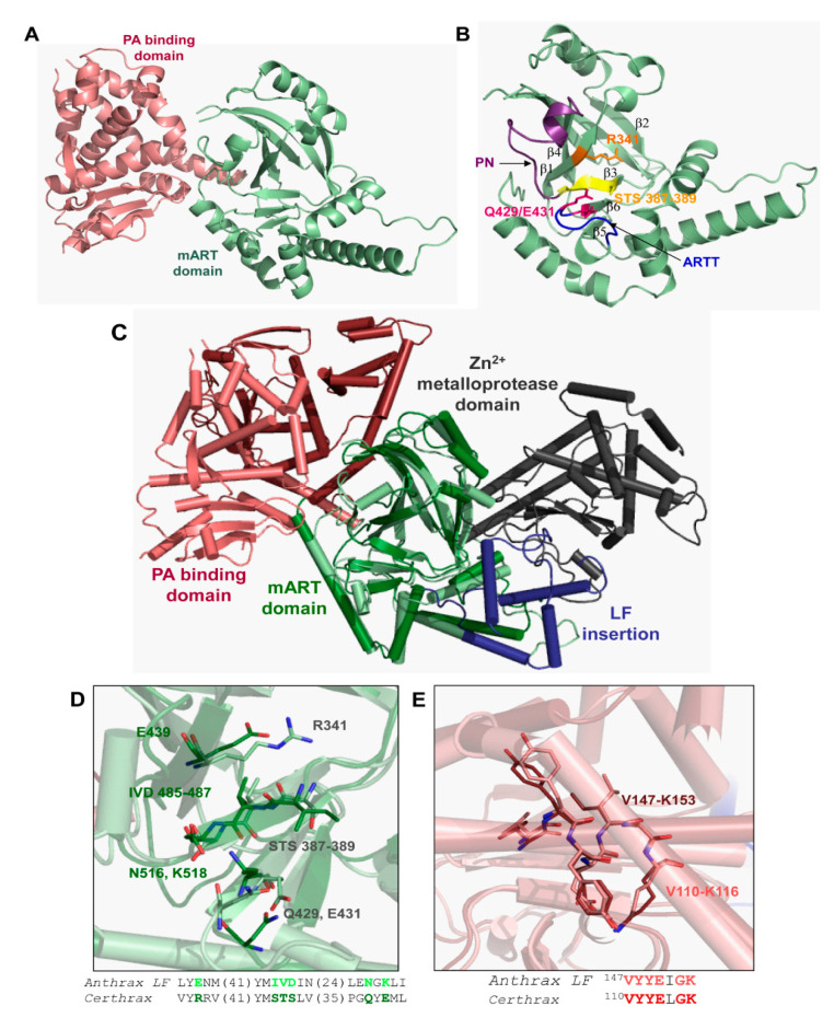 Figure 14