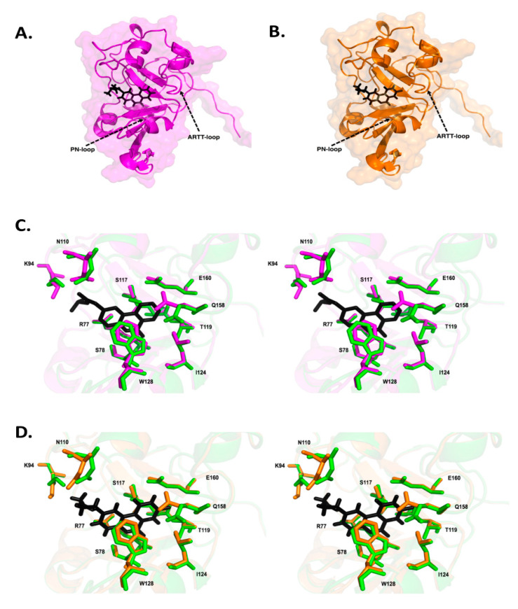 Figure 13