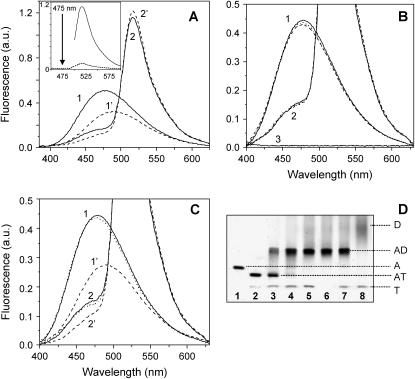 FIGURE 3