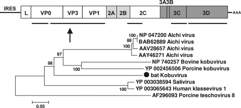 FIG. 4.