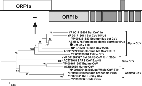 FIG. 8.