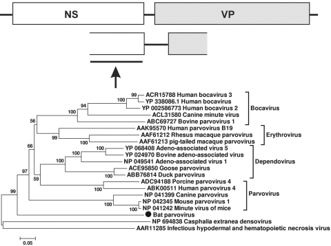 FIG. 6.