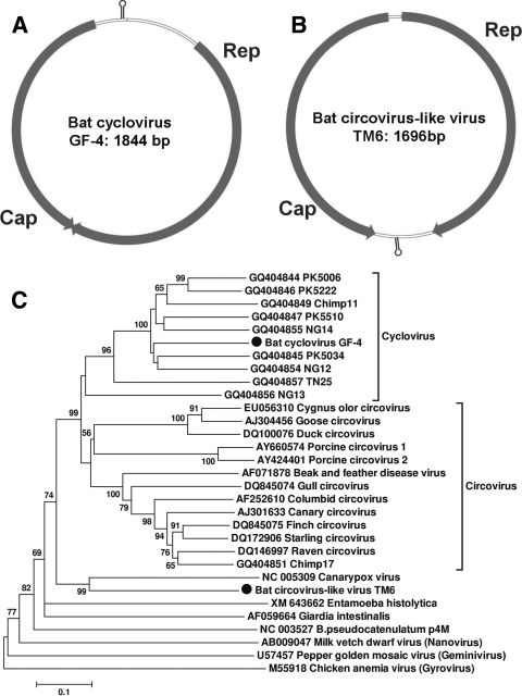 FIG. 3.