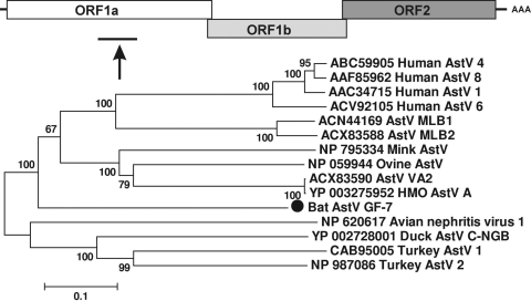 FIG. 5.