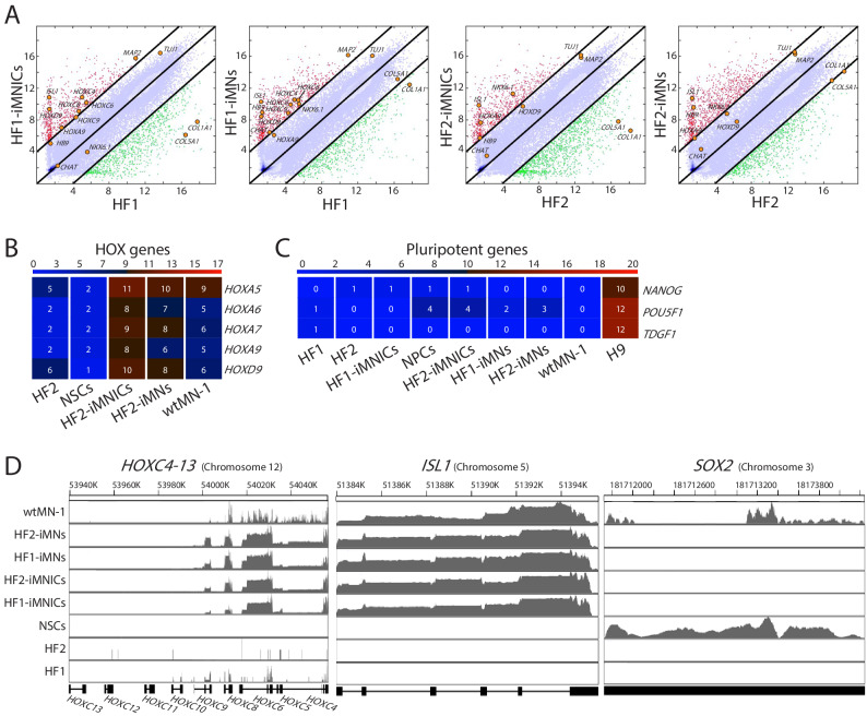 Figure 5—figure supplement 1.