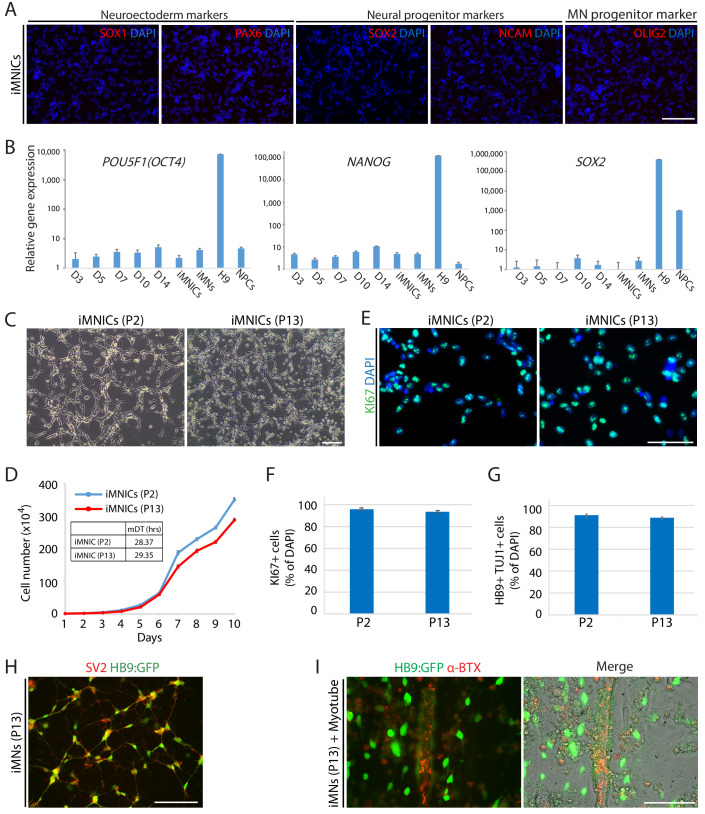 Figure 1—figure supplement 5.