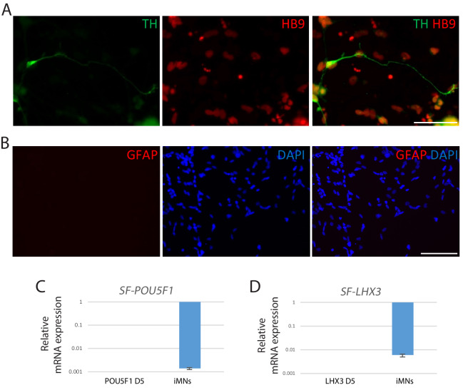 Figure 2—figure supplement 1.