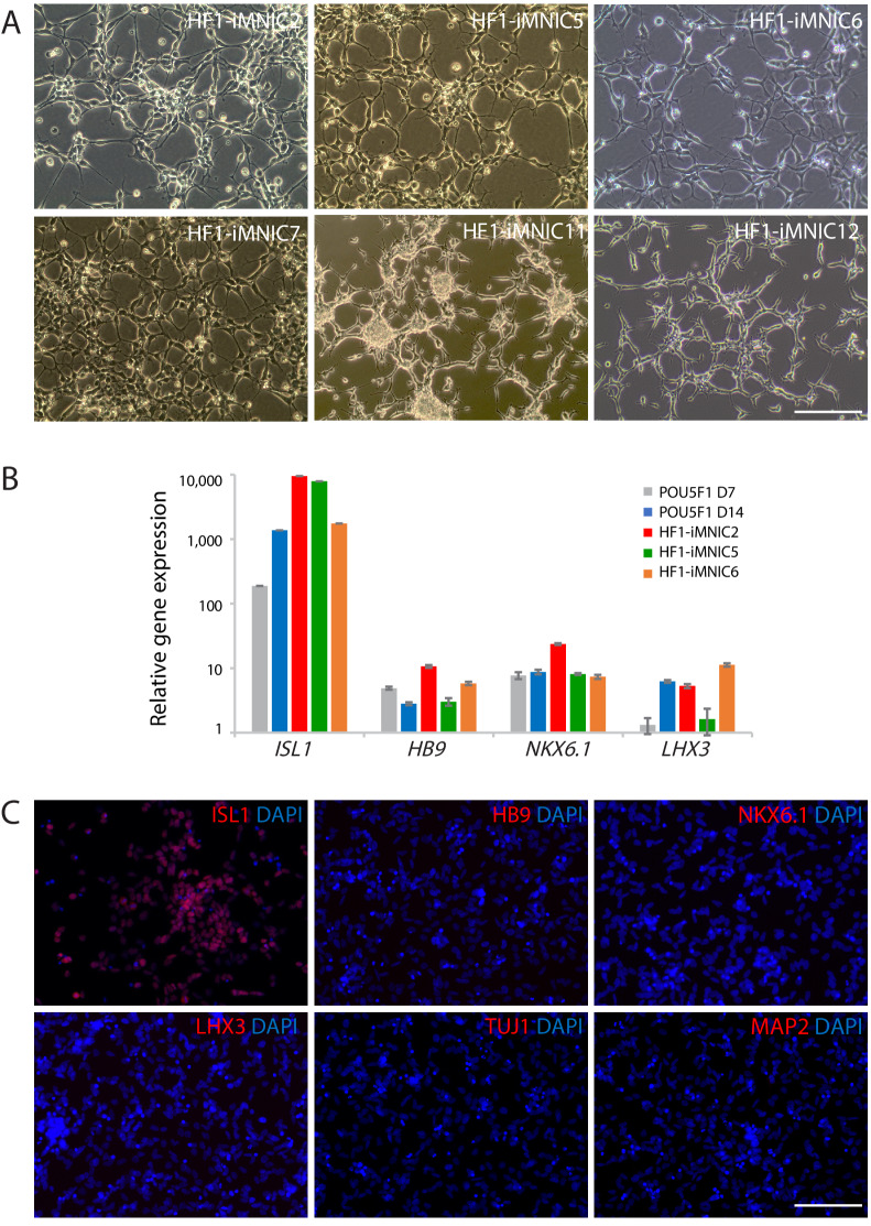 Figure 1—figure supplement 2.