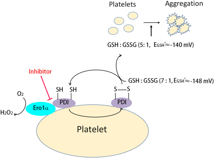 Fig. 7