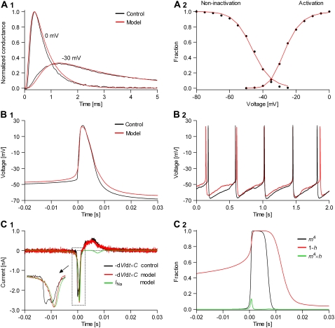 FIGURE 11