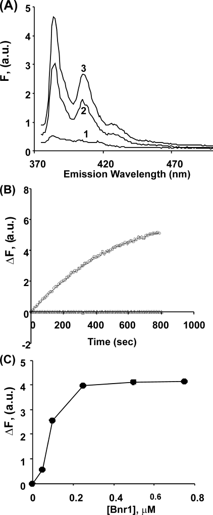 FIGURE 1.