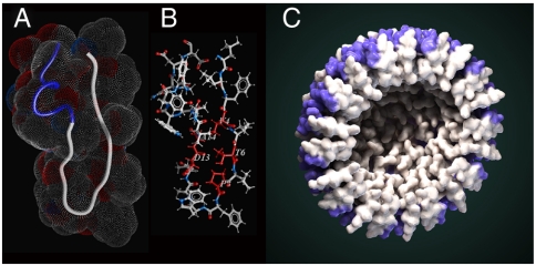 Fig. 3.