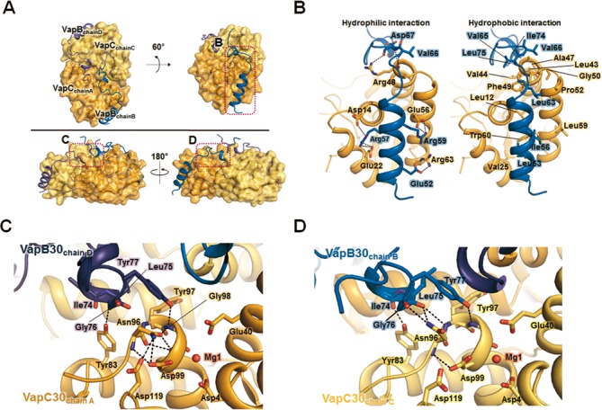 Figure 6.