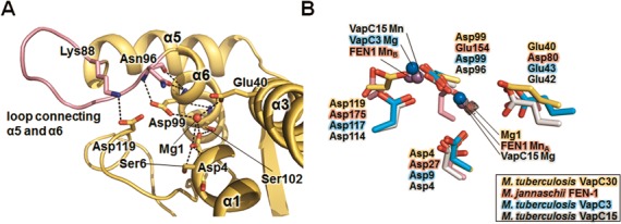 Figure 4.