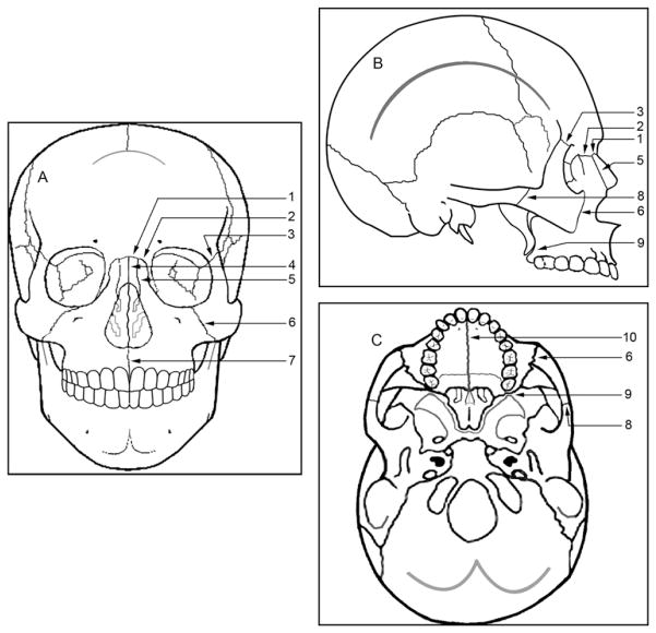 Fig 1