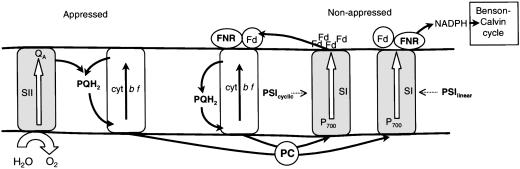 Scheme 1.