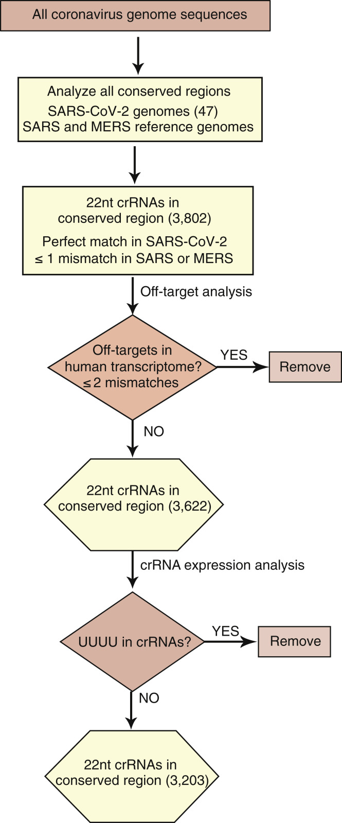 Figure S1