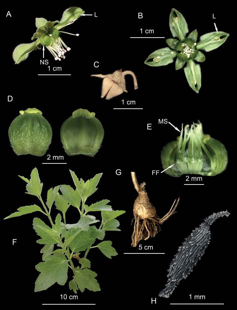 Figure 2.