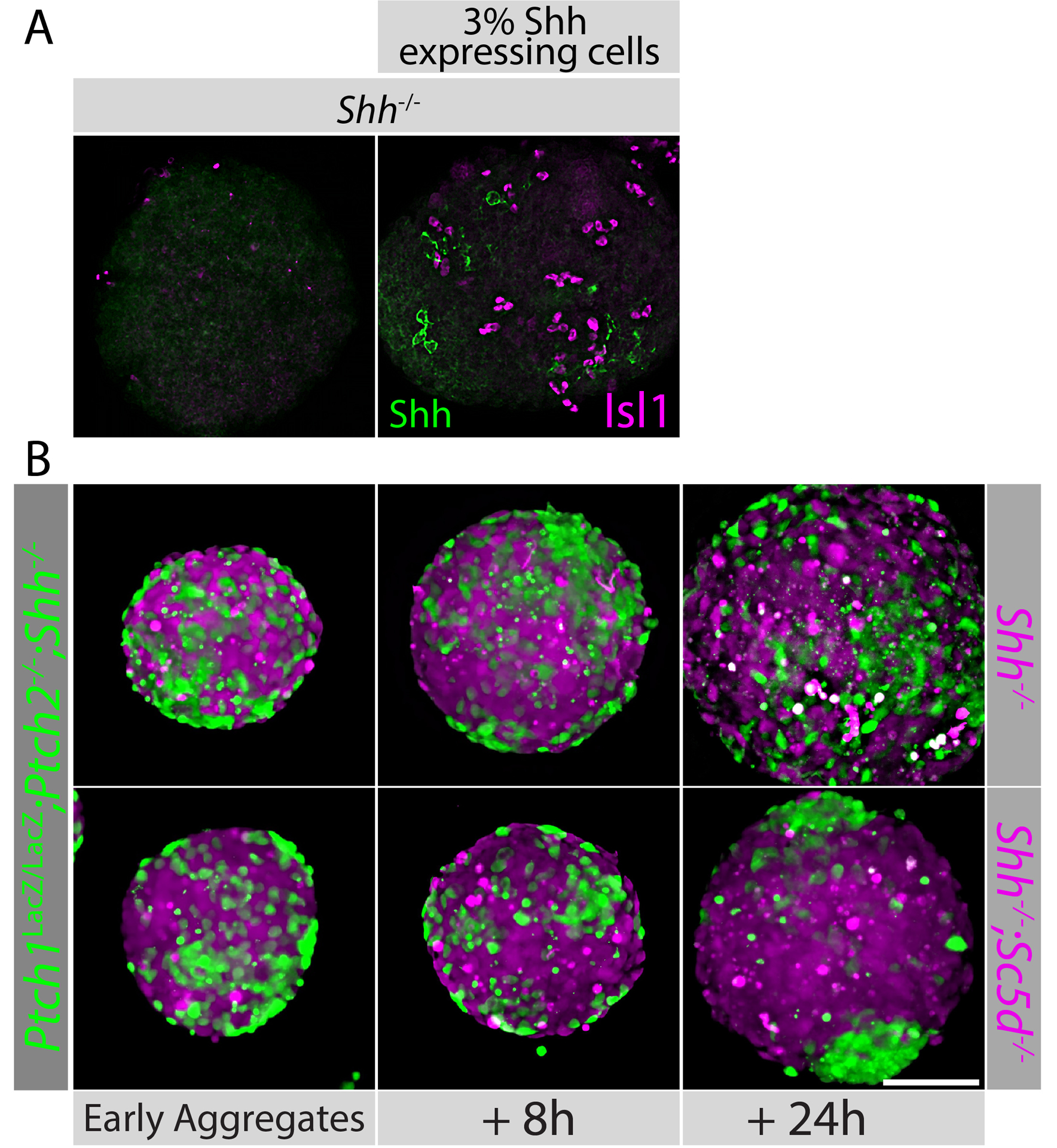 Figure 2: