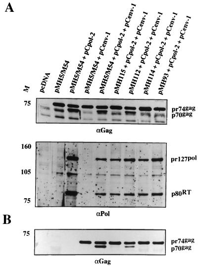 FIG. 4