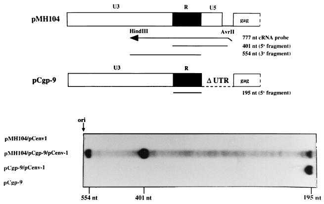 FIG. 6