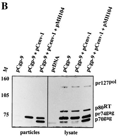 FIG. 5