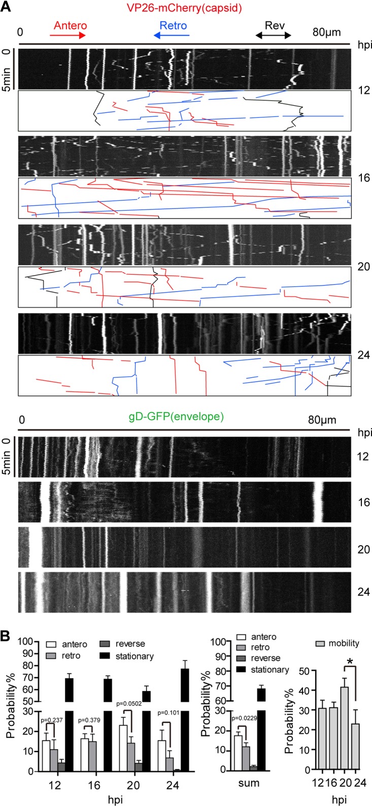 FIG 4