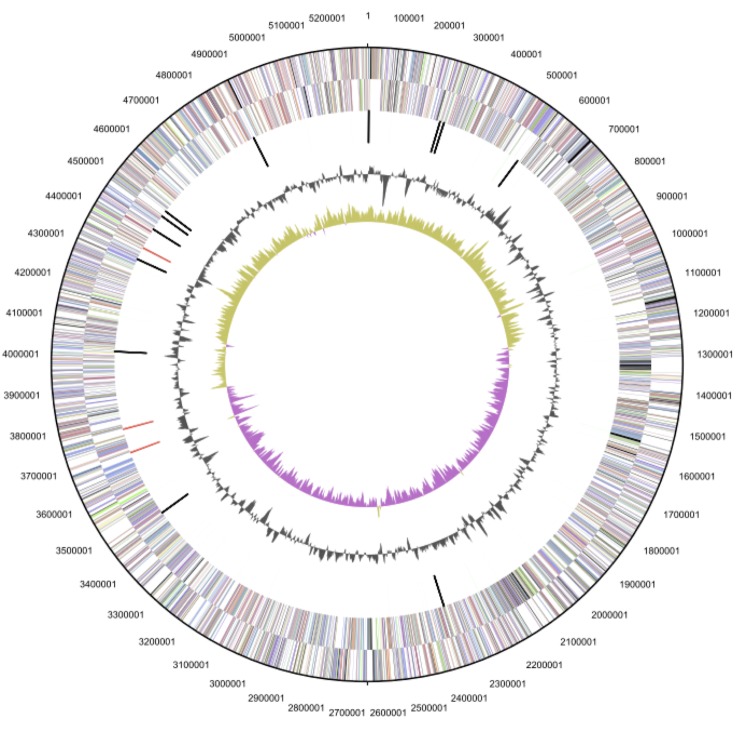 Figure 3a