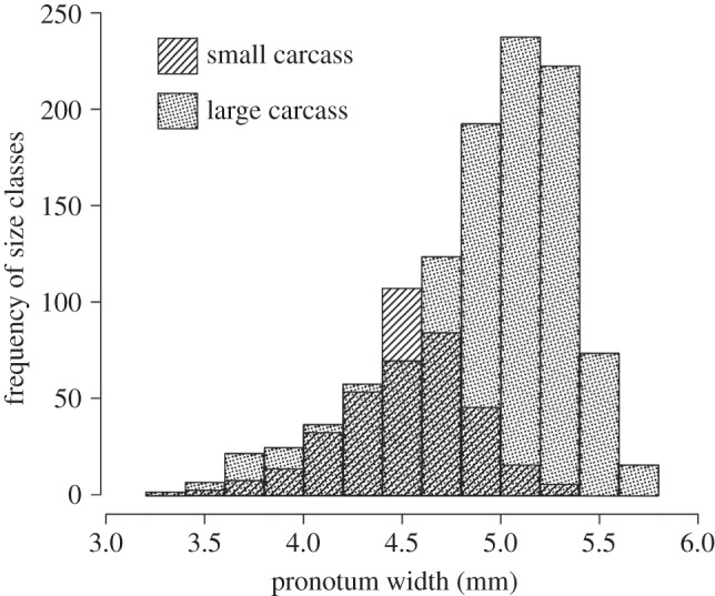 Figure 2.