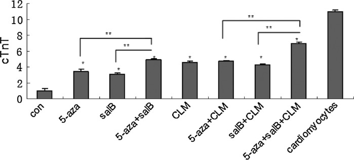 Fig. 7