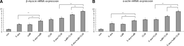 Fig. 6