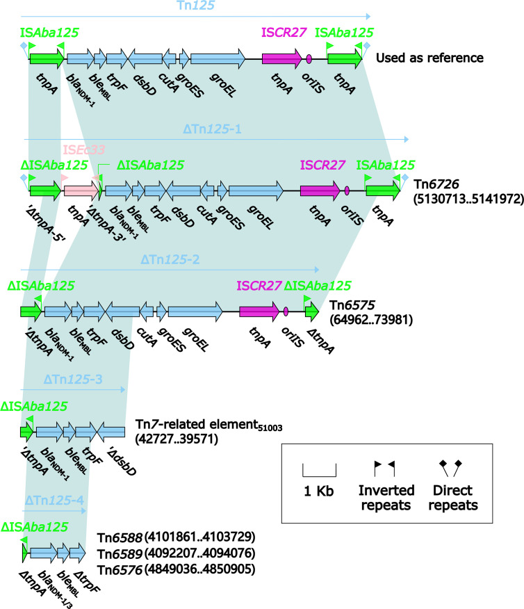 Figure 12