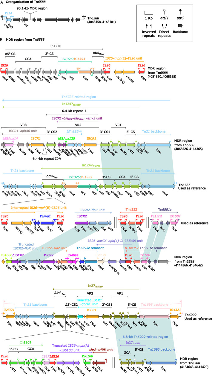 Figure 2