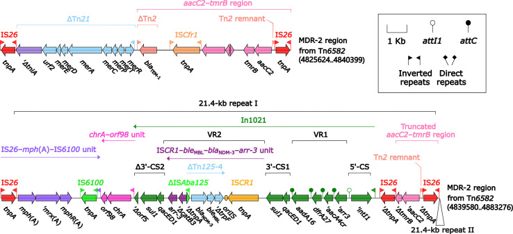 Figure 6